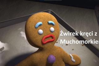 Znasz te kultowe teksty ze Shreka?