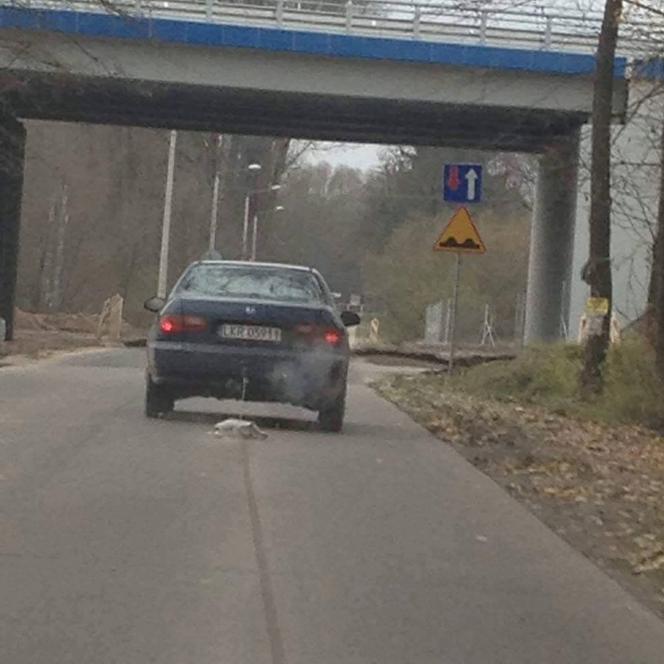 Przywiązał psa do samochodu i ciągnął przez 2 km