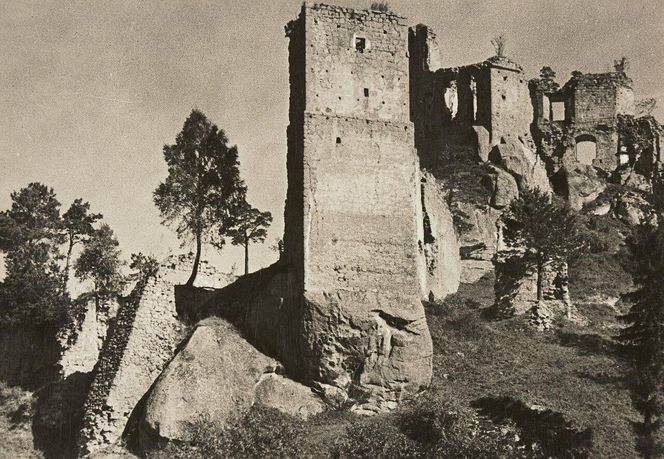 Ruiny Zamku Kamieniec na Podkarpaciu