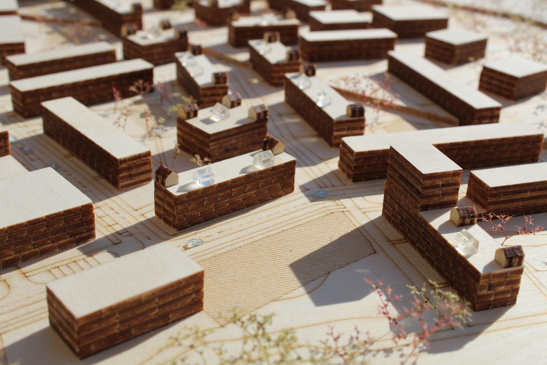 Pierwsze w Polsce osiedle z drewna: wyniki konkursu architektonicznego