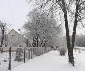 Starachowice w zimowej szacie