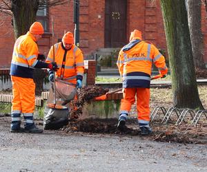 Trwają przygotowania do wiosny. Wielkie sprzątanie w łódzkich parkach