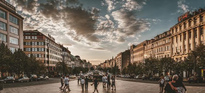 CZECHY
