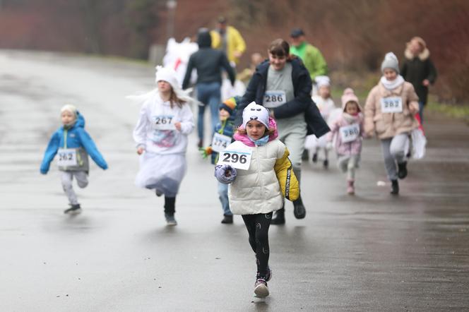 Bieg Fundacji Śląskie Anioły w Katowicach