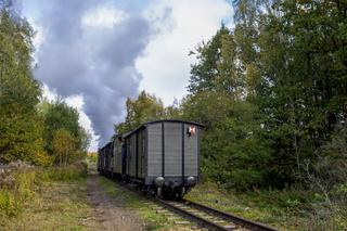 Górnośląskie Koleje Wąskotorowe: Inscenizacja kontroli paszportowej na polsko-niemieckim przejściu granicznym