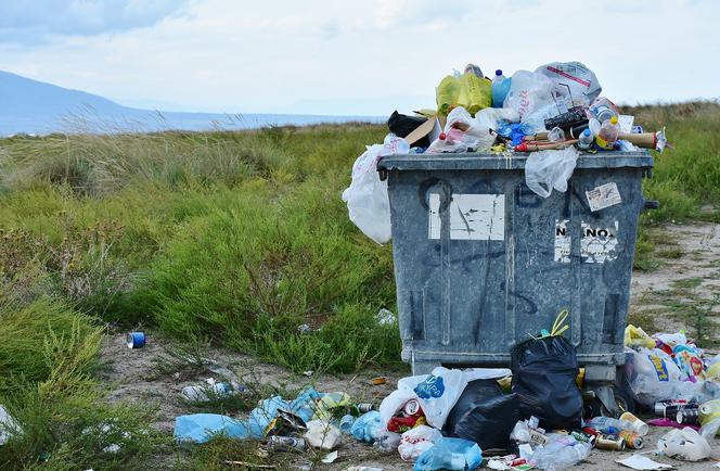 Śmieci w lesie – czy to plaga?