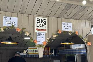 W Krakowie wystartował jarmark wielkanocny. Sprawdziliśmy tegoroczne ceny!