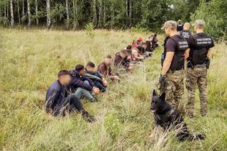 Szturm na granicy! Podlascy pogranicznicy zatrzymują duże grupy imigrantów [ZDJĘCIA]