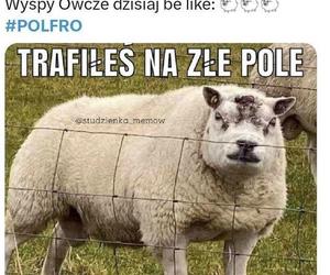 Memy przed meczem Polska - Wyspy Owcze