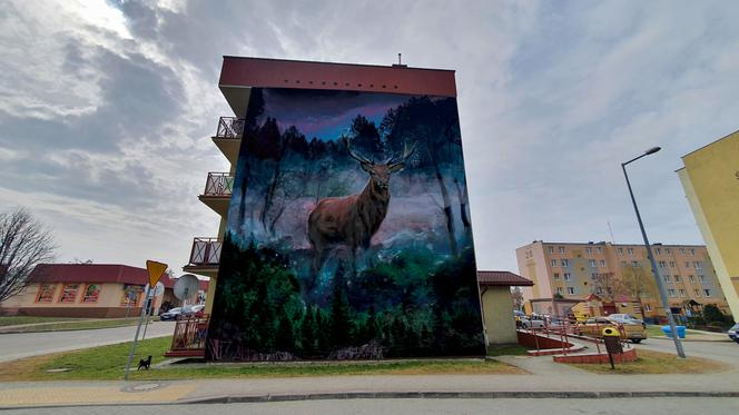 Który mural powinien pojawić się w Łomży? Wybór należy do mieszkańców [FOTO]