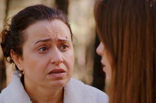 Miłość i nadzieja odc. 322. Sila, Cavidan