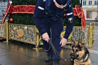 Szarik - nowy policyjny pies w Komendzie Miejskiej Policji w Suwałkach [ZDJĘCIA]