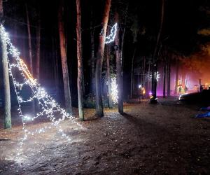 Spektakl światła, dźwięku i... ognia w Lumina Park w Bydgoszczy. Zobaczcie, jak tam magicznie!