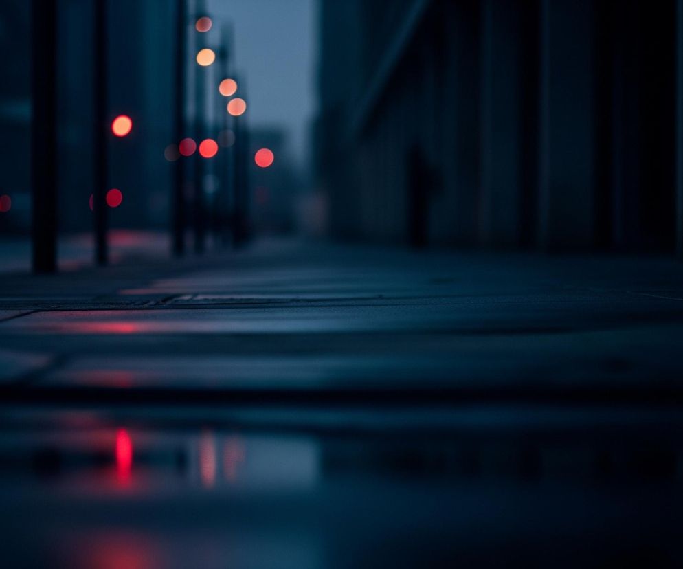 Ulica po deszczu, widoczna w perspektywie, rozciąga się w głąb obrazu. Jej powierzchnia jest mokra, odbijając rozmazane, czerwone światła z lewej strony, które wydają się pochodzić od lamp ulicznych. Po prawej stronie drogi znajdują się ciemne, pionowe kształty budynków lub kolumn, oddzielone od siebie, tworząc wrażenie wąskiej ulicy lub przejścia. Tło jest zamglone i niebieskoszare, co sugeruje noc lub wczesny zmierzch.