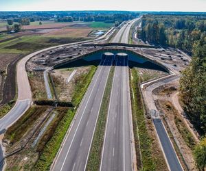S19 Haćki – Bielsk Podlaski Zachód – Boćki