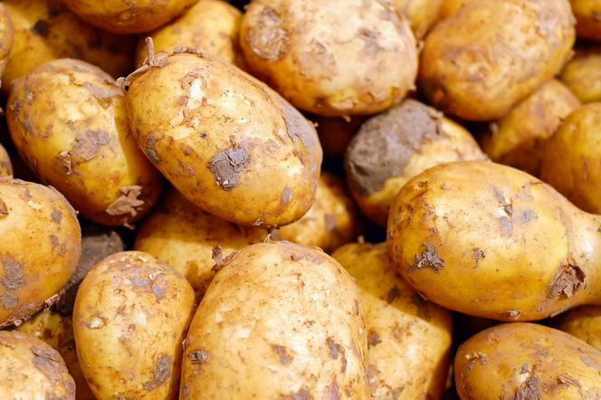 Pyry, ziemniaki czy kartofle? Sprawdź się w quizie o Poznaniu