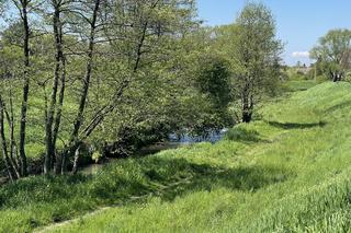 Najdłuższy park w Polsce jest w Krakowie. Ledwo widać go na mapach, a jest pełen atrakcji