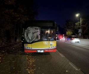 Autobus miejski zderzył się z sarną pod Warszawą. Kierowca został ranny 