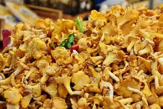 Kurki już w sprzedaży. Tyle trzeba zapłacić za kilogram grzybów