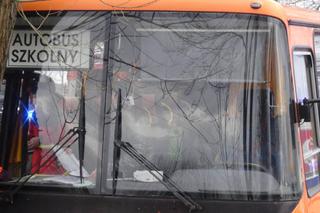 Dramat pod Legionowem. Autobus z dziećmi roztrzaskał się o drzewo. Są ranni