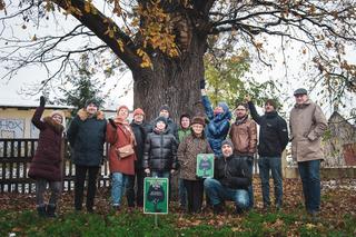 Dąb z Warszawy w finale konkursu na polskie Drzewo Roku. Zwycięzca będzie walczył o tytuł europejski