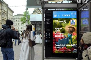 Truskawkowa rewolucja na Śląsku. Czekając na autobus wdychasz... zapach truskawek