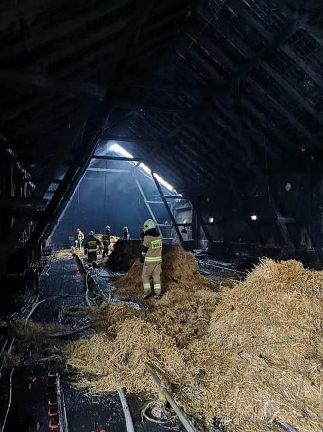 Perzyny. 40 tys. kurcząt zginęło w WIELKIM POŻARZE! Ogień naruszył konstrukcję budynku [ZDJĘCIA]