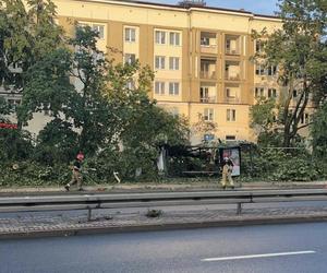 Nawałnice przeszły nad Polską. Oto szkody