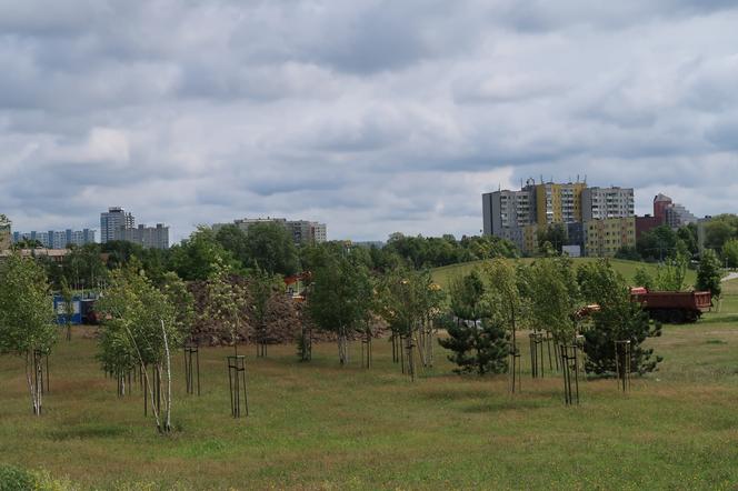 Park Jaworek w Tychach zamienił się w wielki plac budowy [ZDJĘCIA]