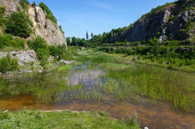 Jezioro Szmaragdowe na Kadzielni w Kielcach