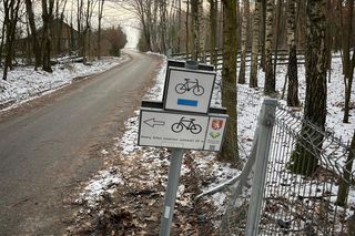 Kacper po wszystkim uciekł do lasu. Udawał, że robi pompki