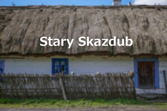 Stary Skazdub