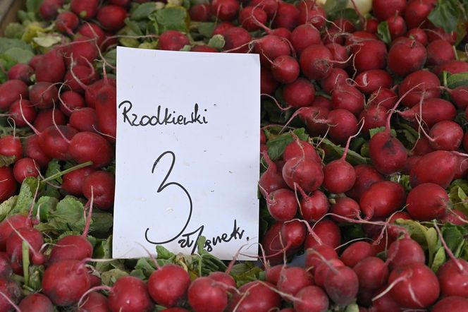  Ceny nowalijek na warszawskich bazarach szokują. Byliśmy i sprawdziliśmy ile trzeba zapłacić