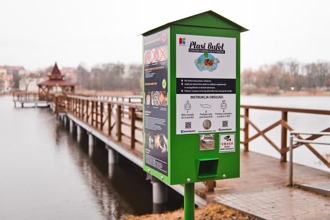 Przy jeziorze stanął... PTASI BUFET! Skorzystają z niego mieszkańcy Kętrzyna [ZDJĘCIA]