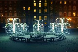 Iluminacje bożonarodzeniowe w Szczecinie