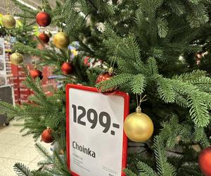 Ceny choinek 2023 w Krakowie. Ile zapłacimy za drzewko? Jakie są ceny choinek sztucznych i prawdziwych? [GALERIA]