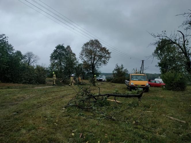 Trąba powietrzna w Łódzkiem. Zniszczenia w gminie Poświętne