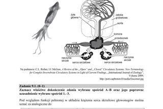 Matura 2018 z biologii [ARKUSZE CKE, ODPOWIEDZI]