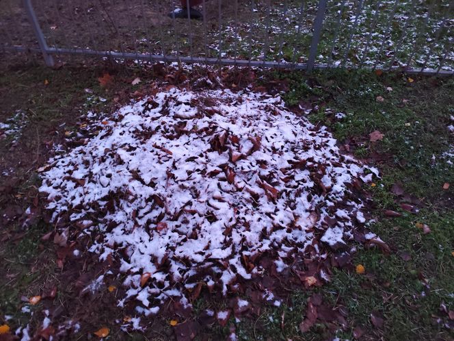 Pierwszy śnieg spadł w Poznaniu i okolicach