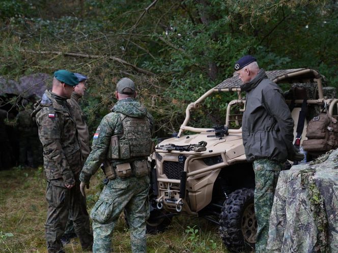 Ćwiczenia NATO Falcon Autumn w Polsce