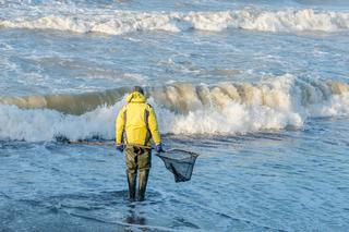 Rusz na połów bursztynu