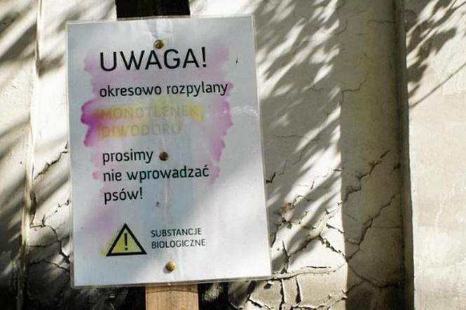 Tabliczka przed Klasztorem Ojców Dominikanów w Poznaniu