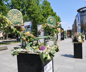 Weekend z florystyką w Lublinie. Zobacz imponujące roślinne instalacje w centrum miasta!