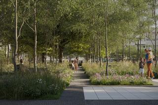 Plac Nowy Targ zostanie zazieleniony! Miasto zapowiada koniec betonozy