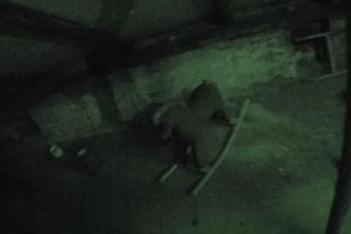 Nawiedzony dom w Jeleniu 