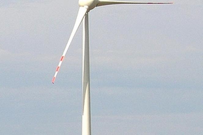 Elektrownia wiatrowa na Pomorzu. Fot. Wikimedia Commons