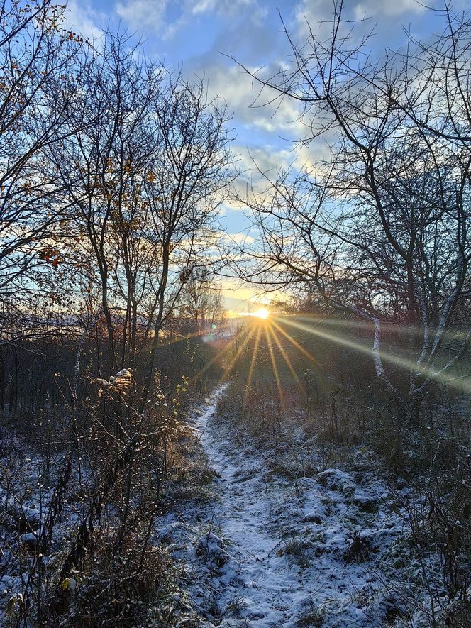 Pierwszy śnieg w tym roku. Pomorze pokryte białym puchem