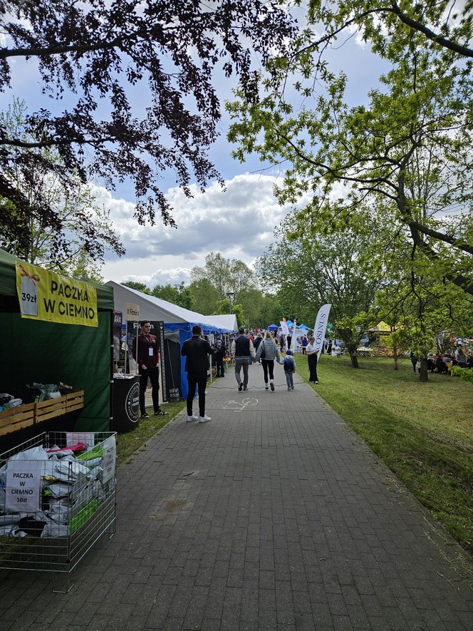 Festiwal Przyjaciół Zwierząt w Olsztynie. Park Centralny opanowały radosne pieski