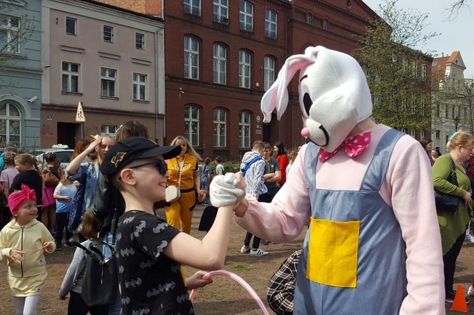 Zające chodzące i z czekolady w centrum Leszna
