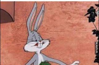 Gdzie się podziały pieniądze z komunii? 